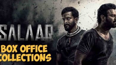 Salaar Day wise Box Office collection See how much the film made